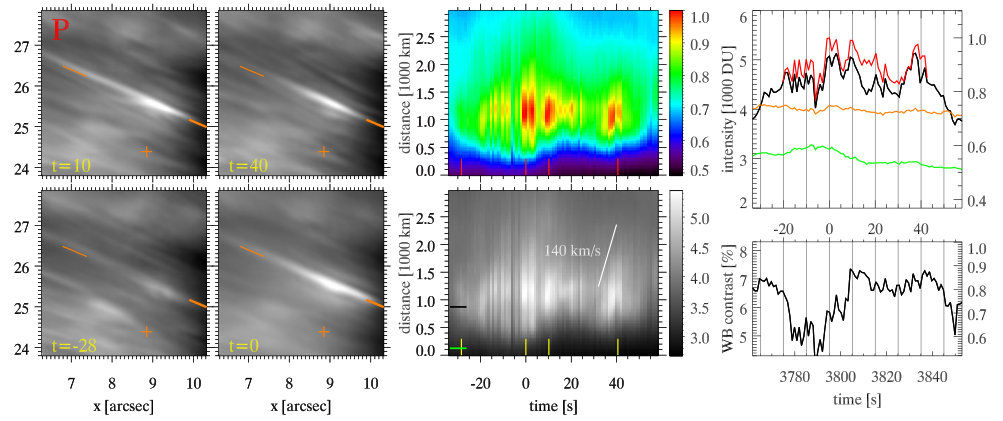 Figure 24
