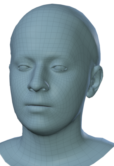 Figure 29
