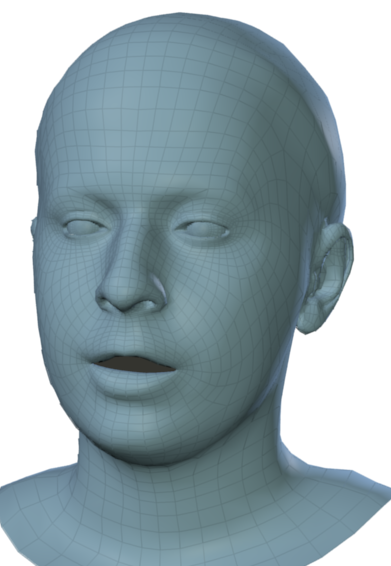 Figure 33
