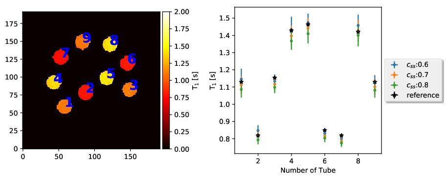 Figure 19