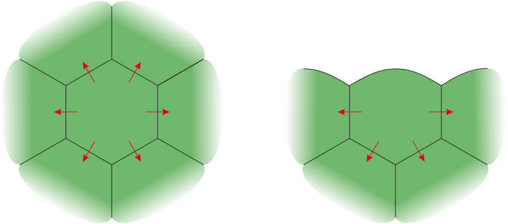 Figure 32