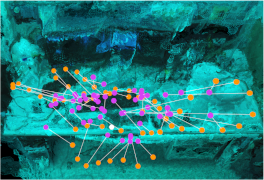 Figure 24