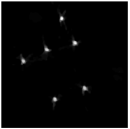 Figure 17