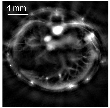 Figure 18