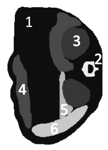 Figure 19