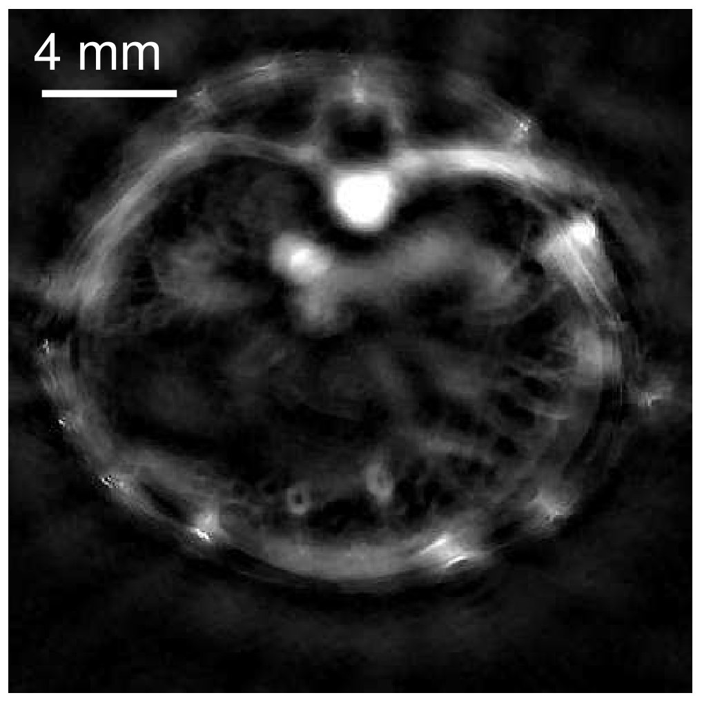 Figure 28