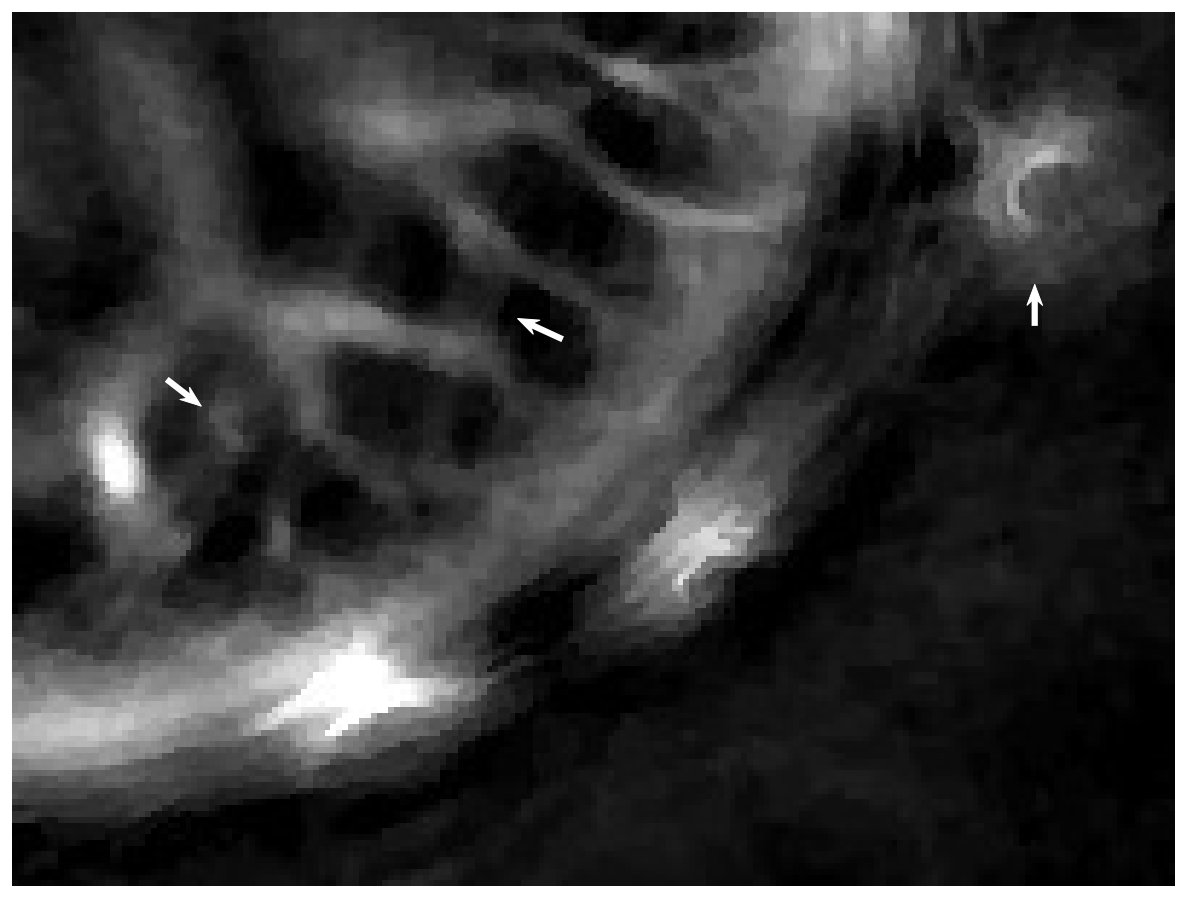 Figure 29