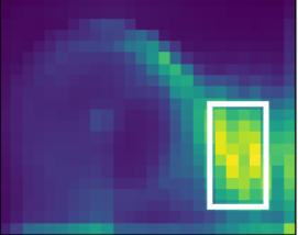 Figure 21