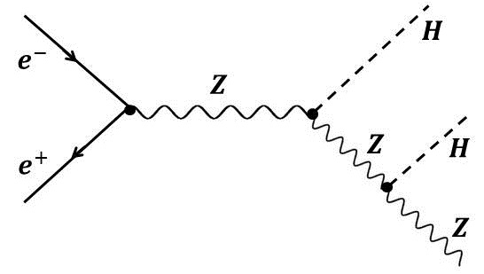 Figure 24