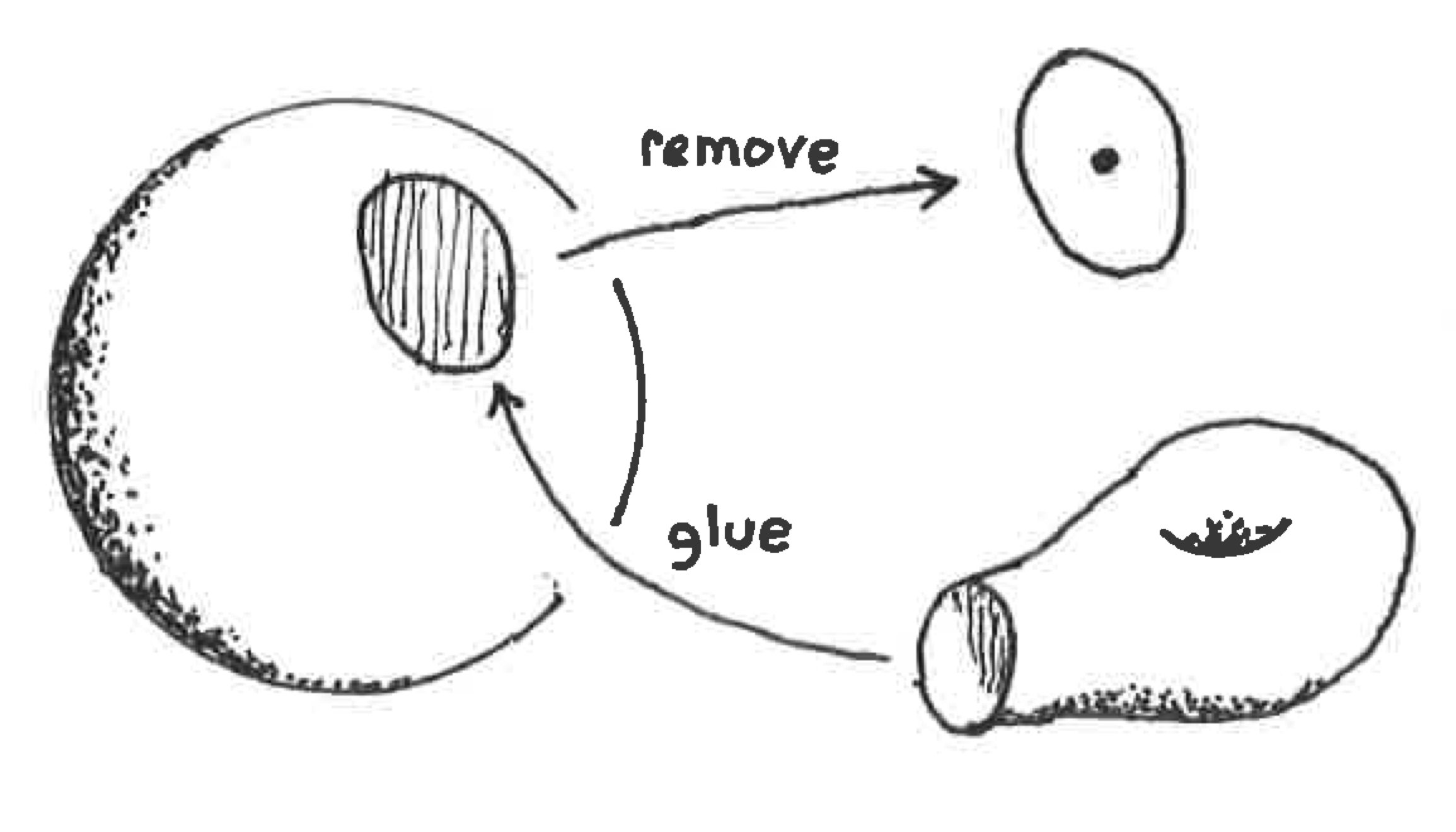 Figure 16
