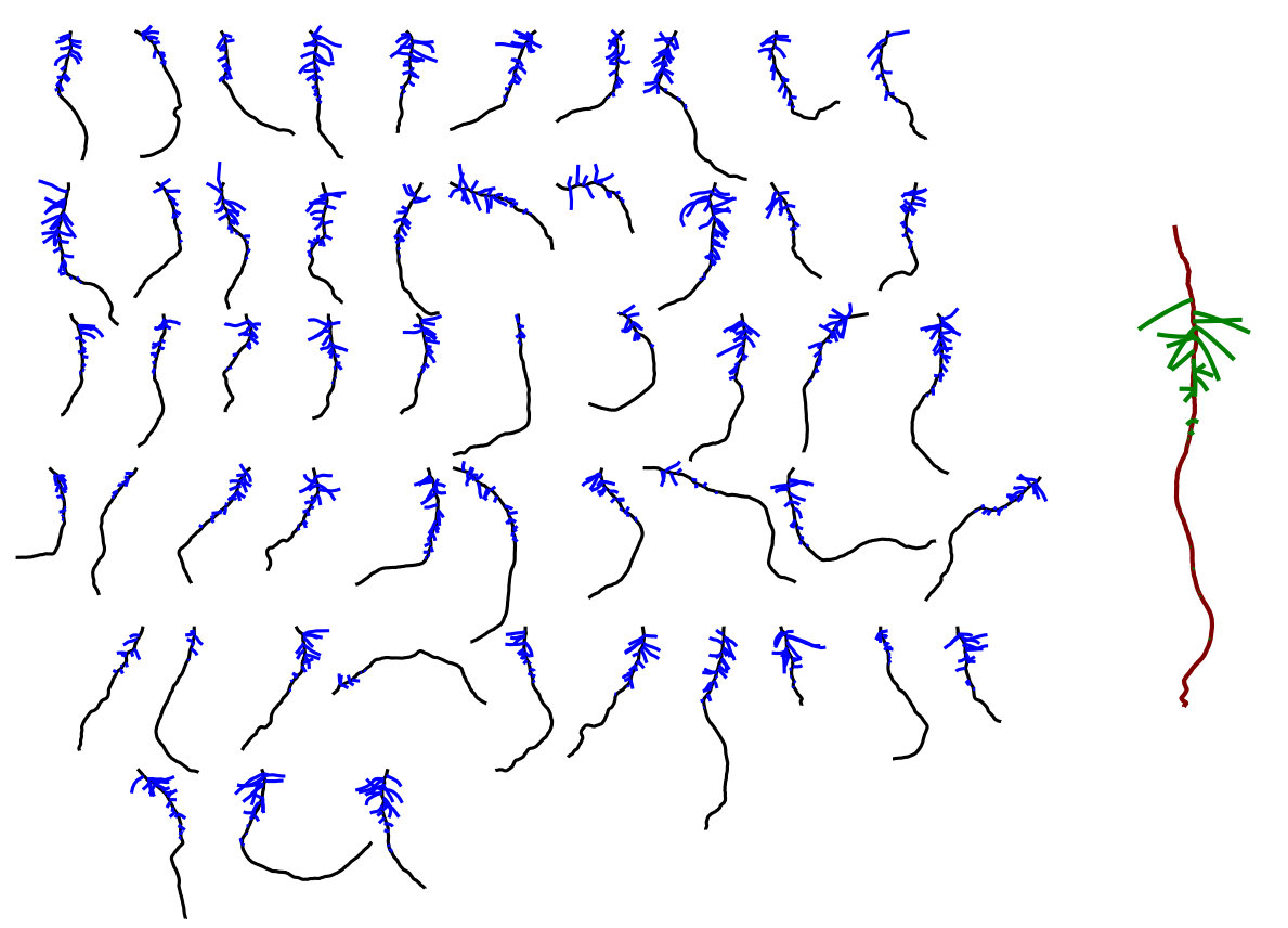 Figure 8