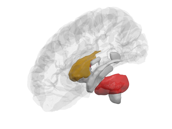 Figure 16