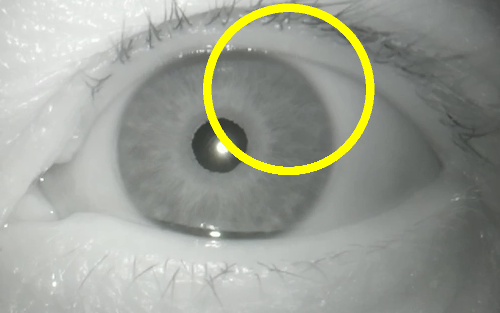 Figure 13