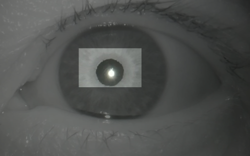 Figure 18