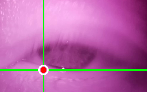 Figure 28