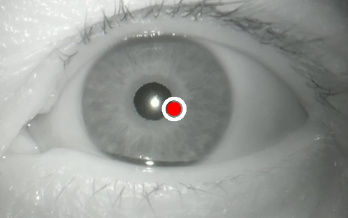 Figure 31