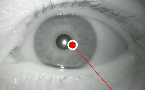 Figure 32
