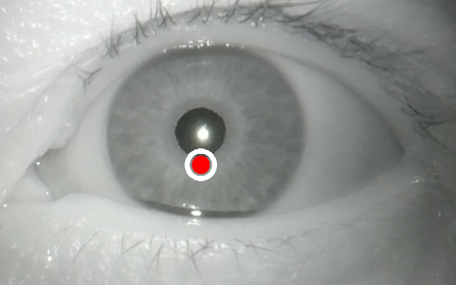 Figure 36