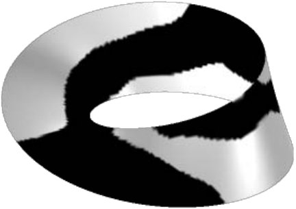 Figure 24
