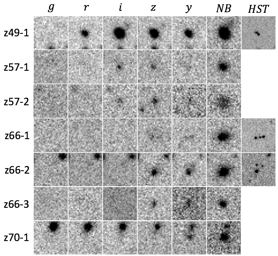 Figure 20