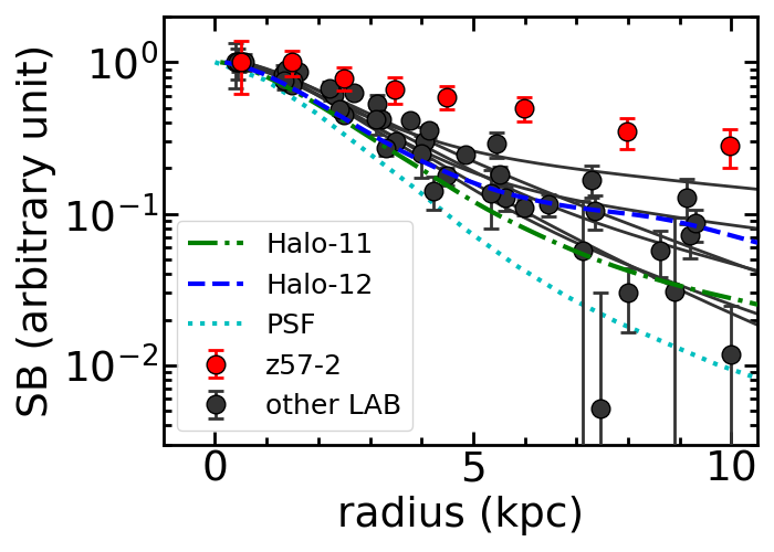 Figure 33