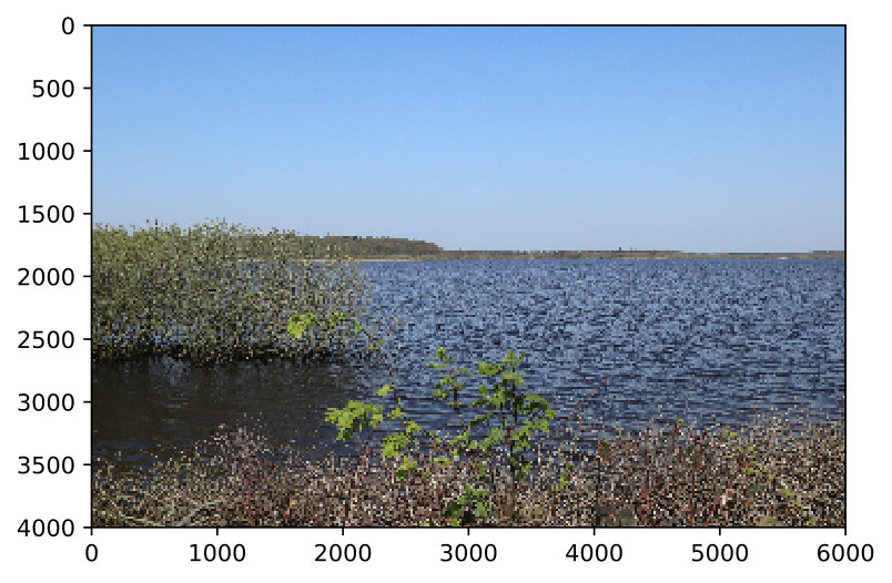 Figure 24