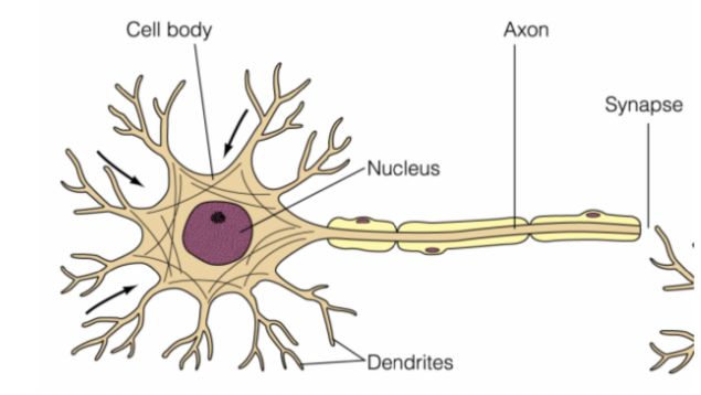 Figure 18