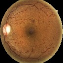 Figure 20