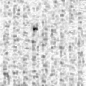 Figure 30