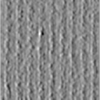 Figure 31