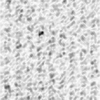 Figure 33