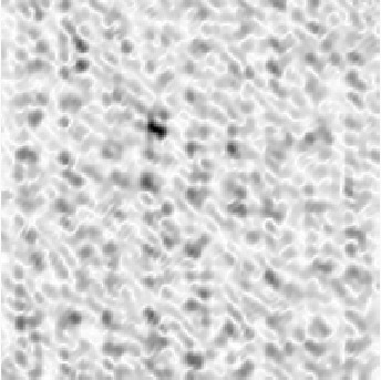 Figure 39