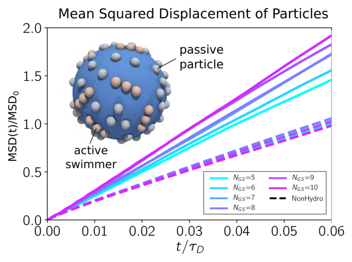 Figure 10