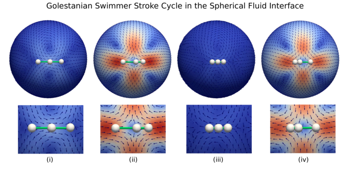 Figure 12