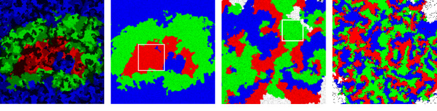 Figure 12