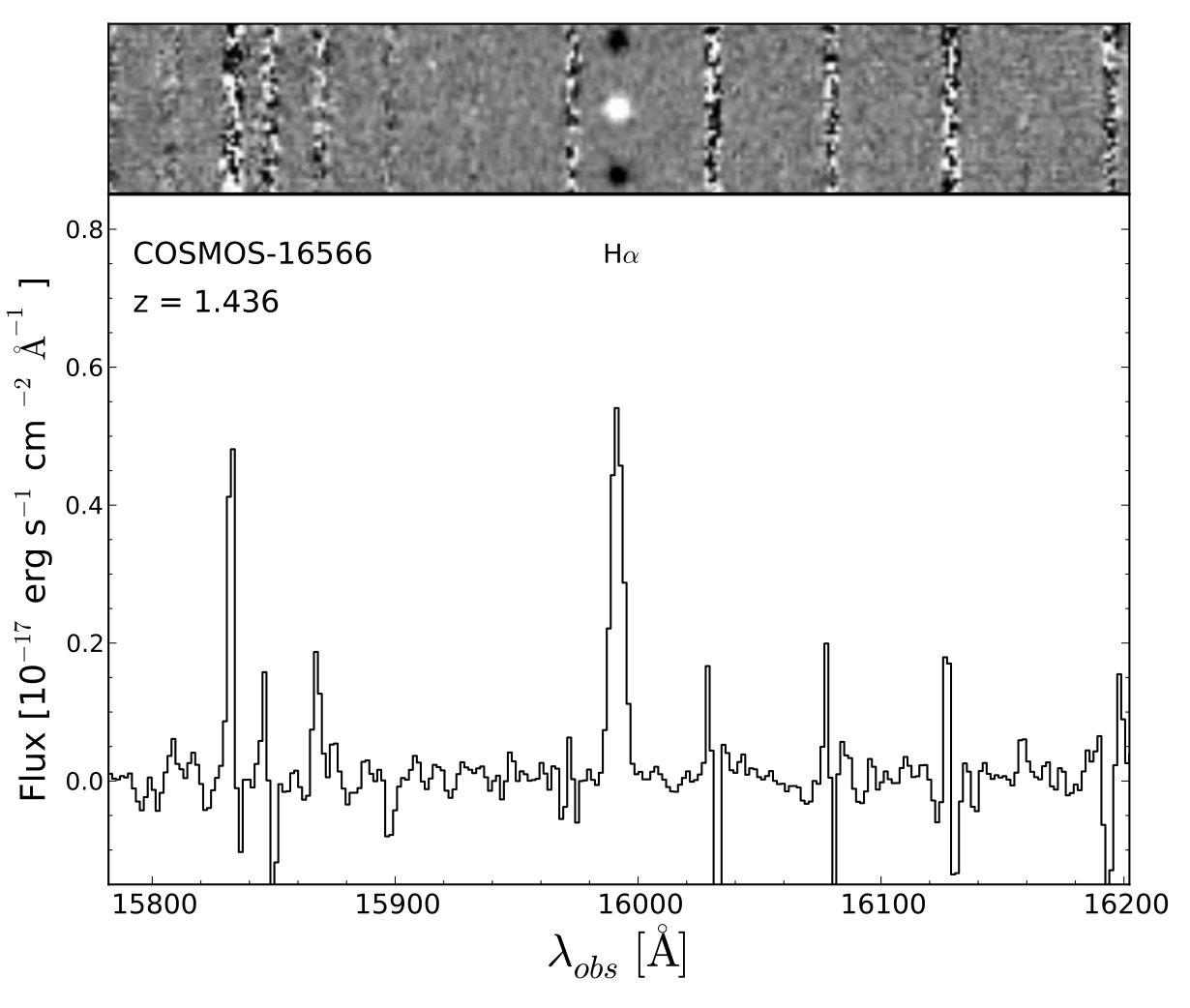 Figure 20