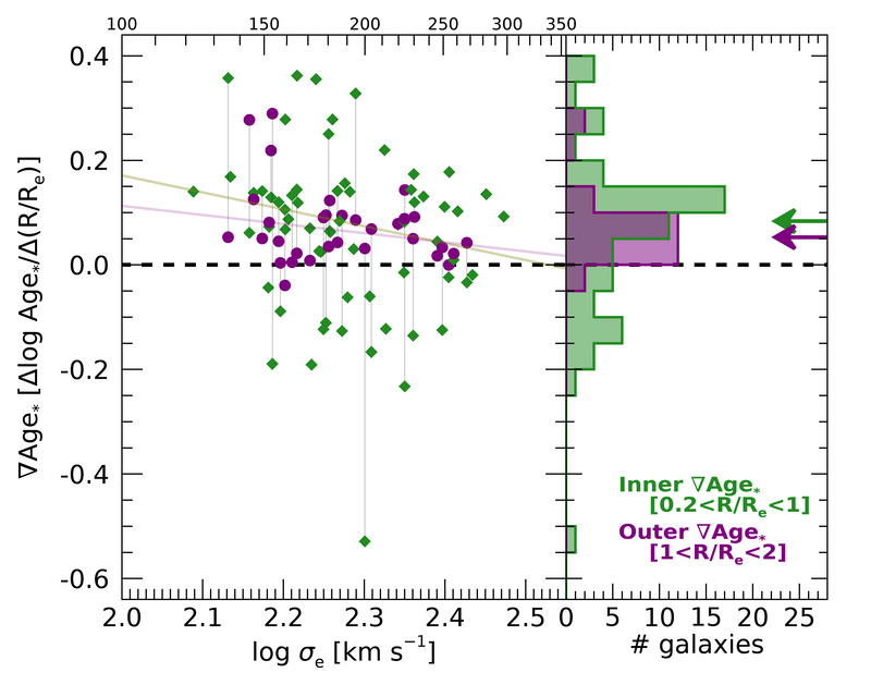 Figure 31