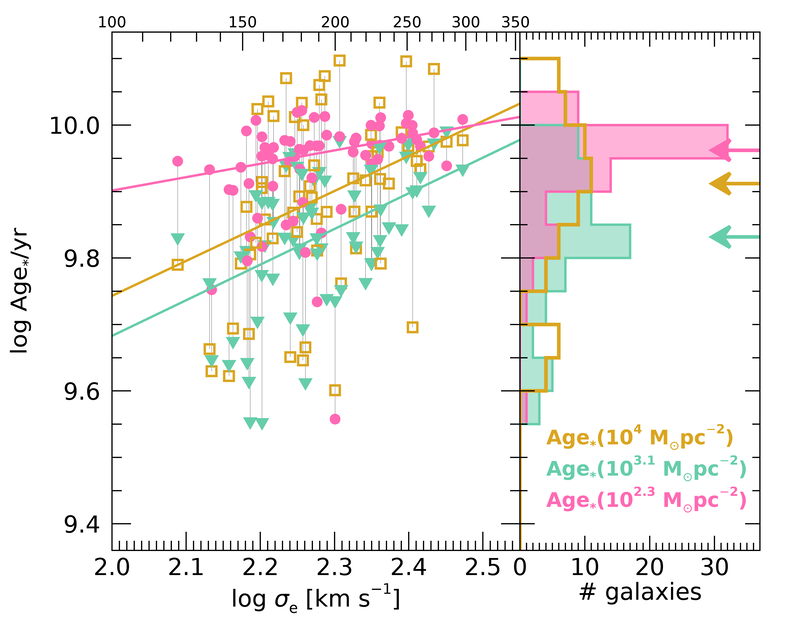 Figure 38