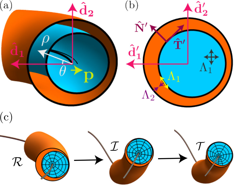 Figure 20