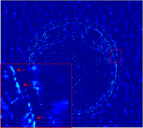 Figure 15
