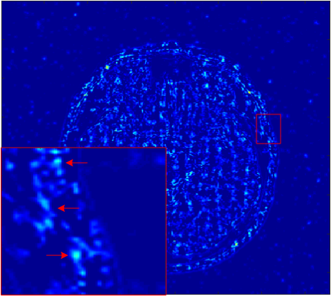 Figure 19