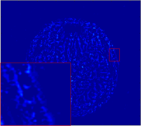 Figure 20