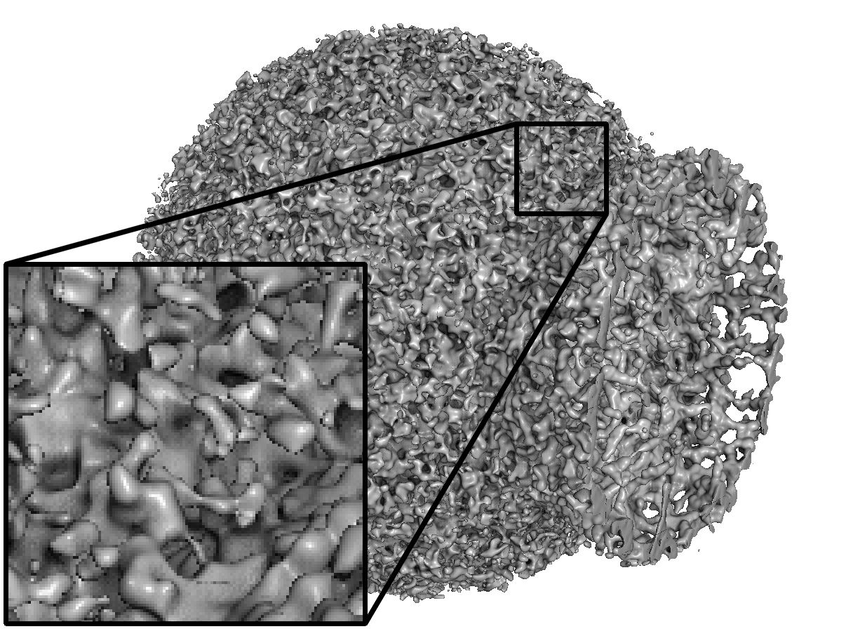 Figure 12