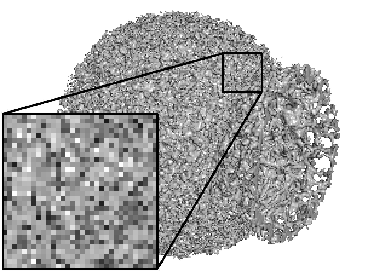Figure 13