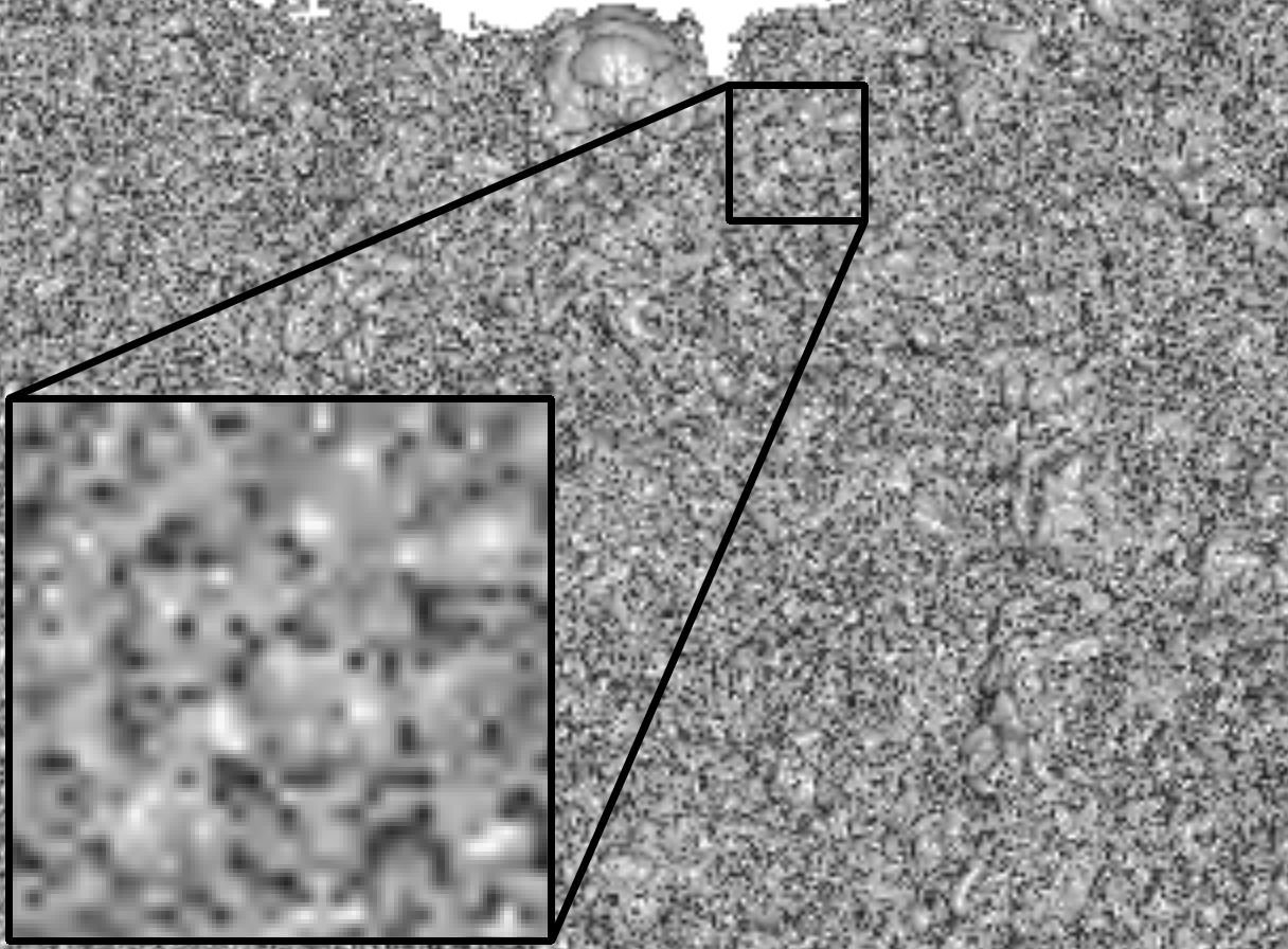 Figure 14
