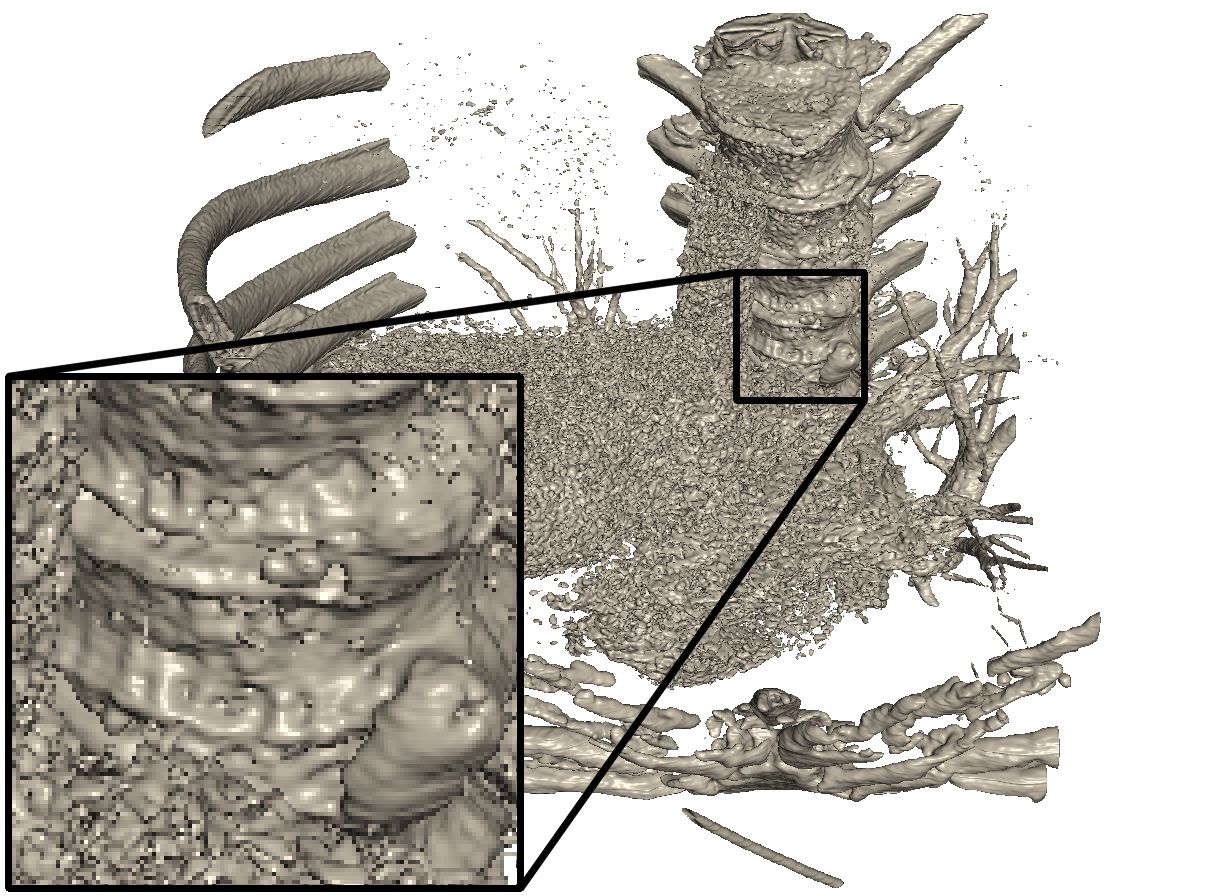Figure 24