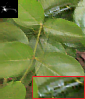 Figure 13