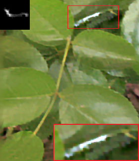 Figure 13