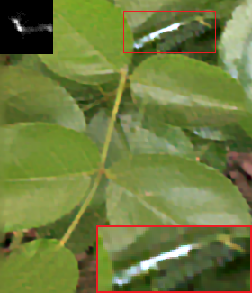 Figure 13