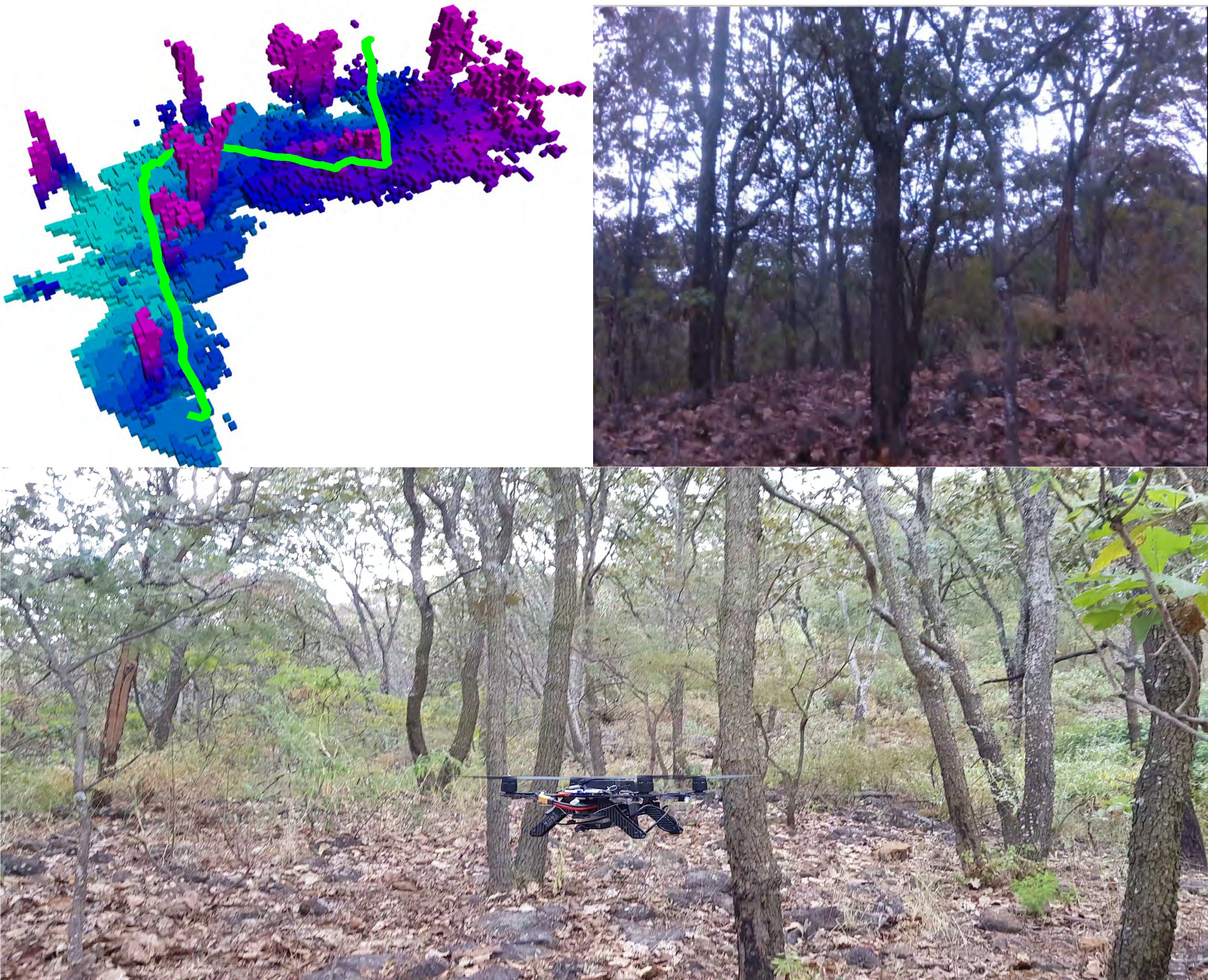 Figure 9